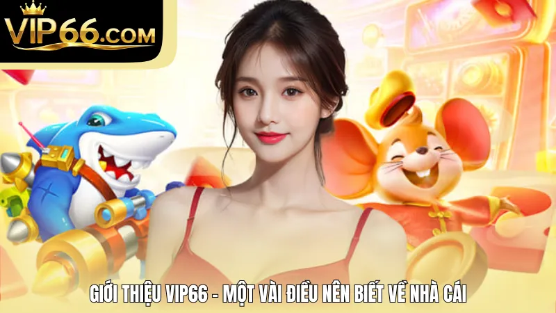 Giới thiệu VIP66 - Một vài điều nên biết về nhà cái